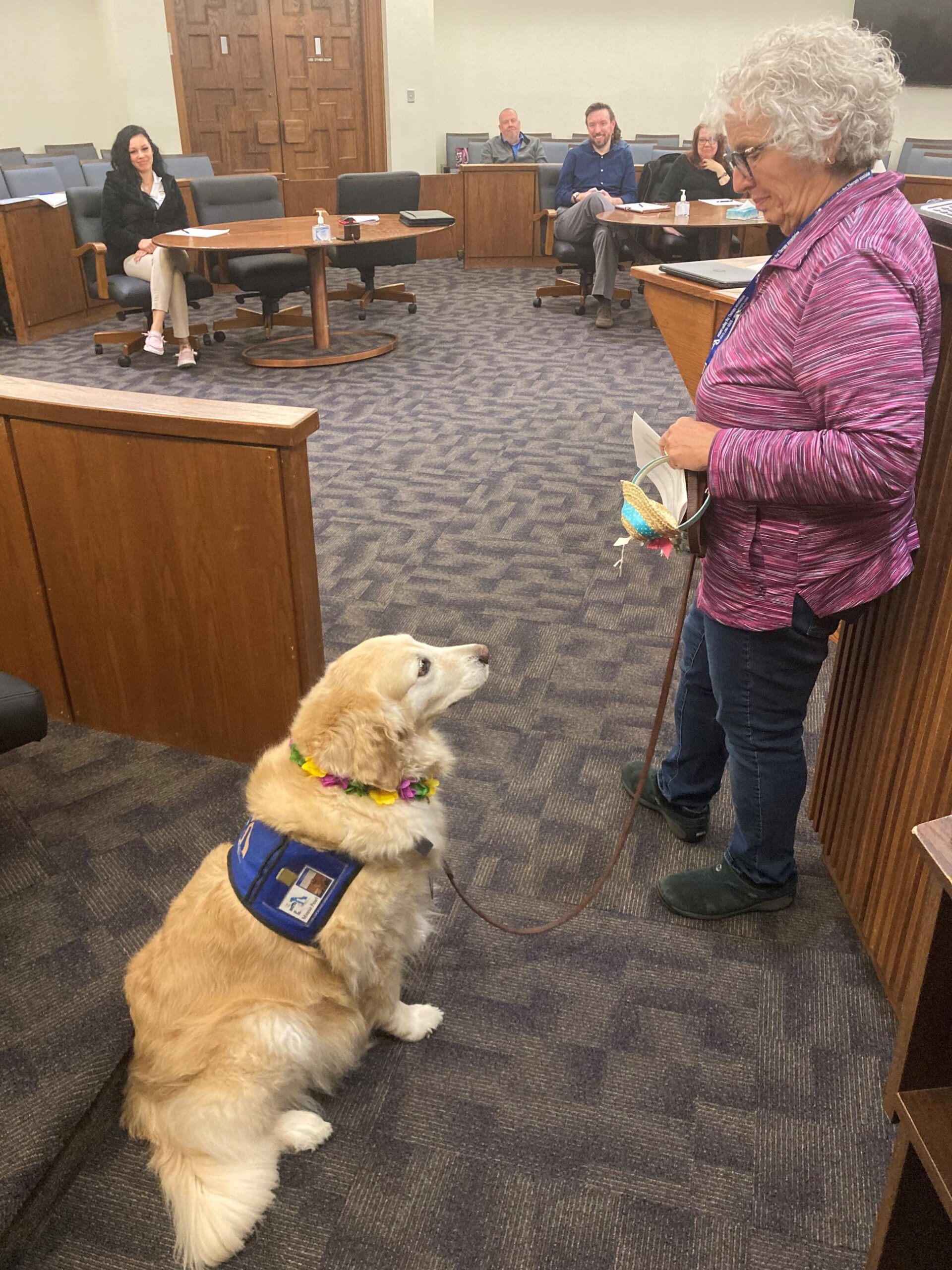 a golden retriever named Minnie Pearl 1