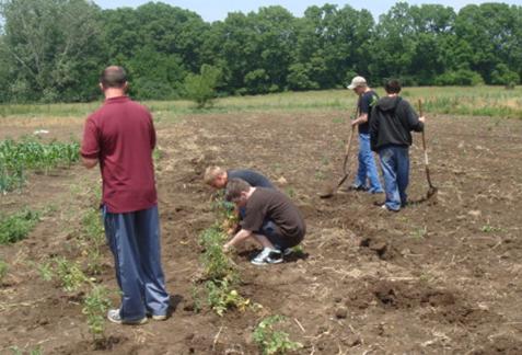 Juvenile farmers planing crops