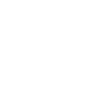 Home Icon